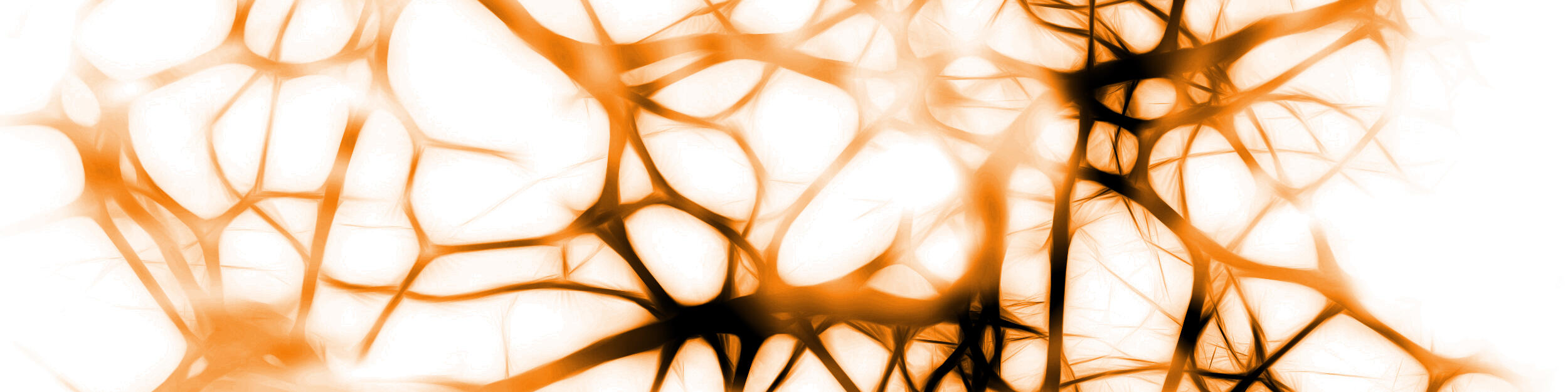 Image of neurons