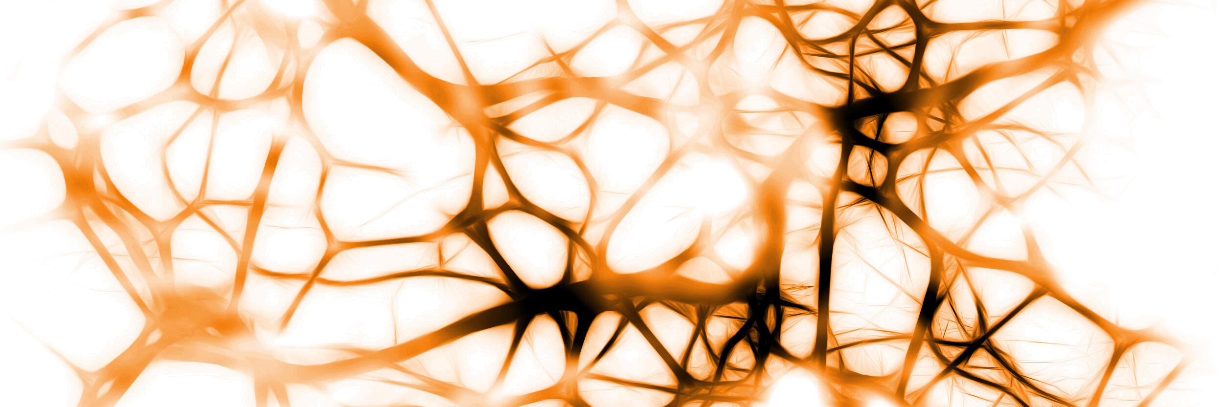 Image of neurons