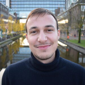 Enno Hinz, Journalist, Bonn Institute, Projects